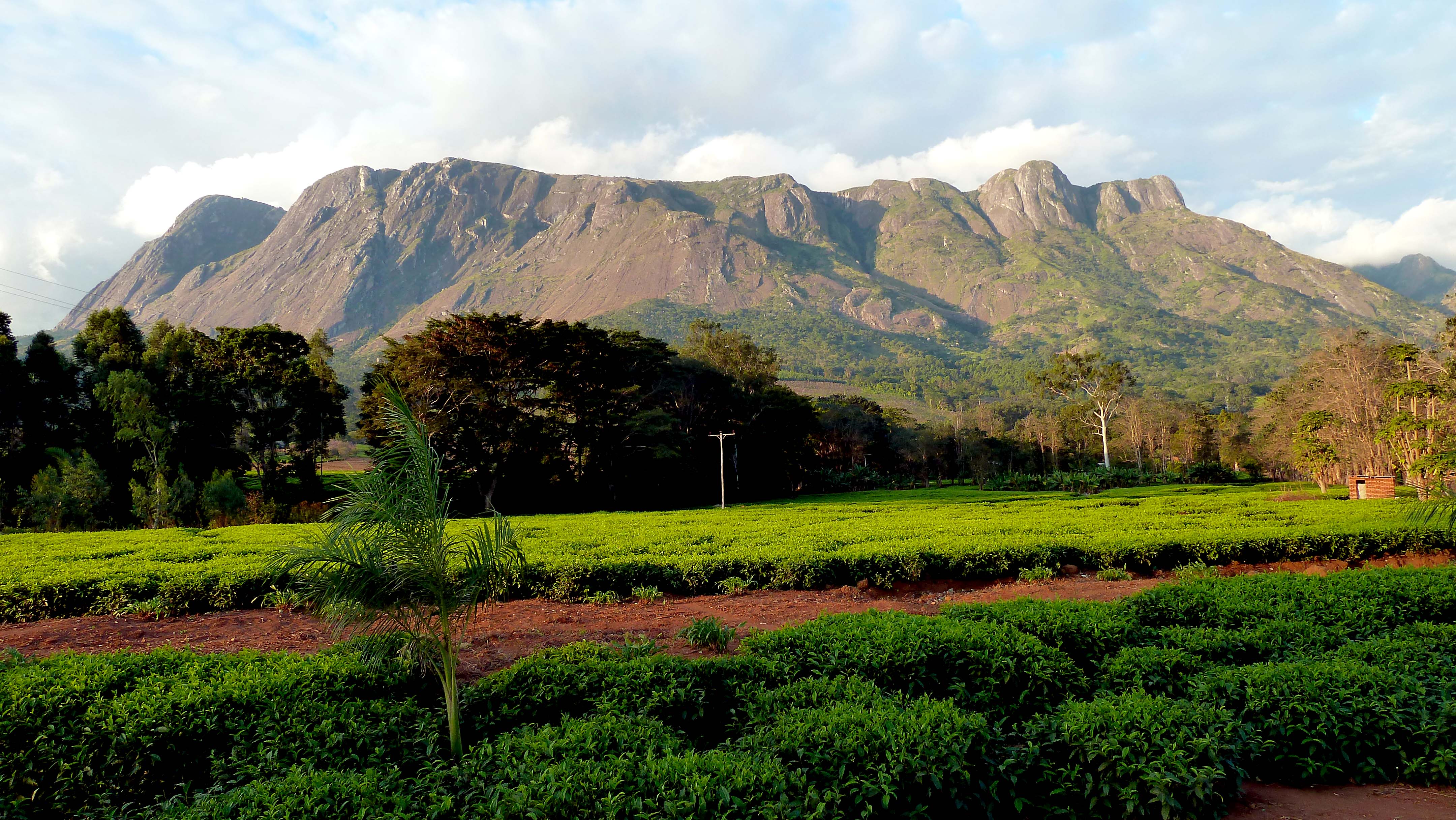 mulanje mountain