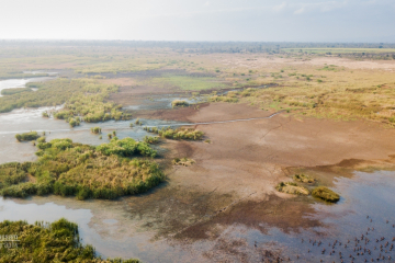 Aerial Shot of Elephant Marsh