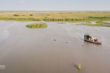 Aerial Shot of Elephant Marsh