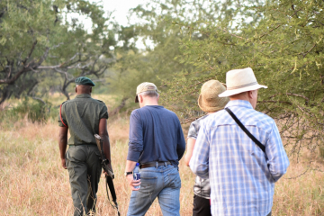 Walking Safari