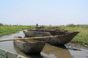 Canoe Safari