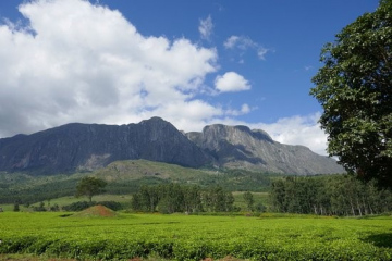 Mt Mulanje