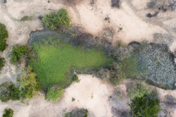 Waterhole, Lengwe National Park