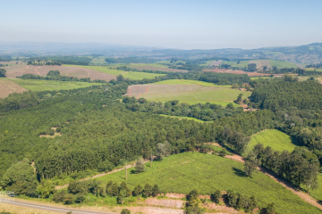 Aerial Shot of Thyolo Tea Plantations