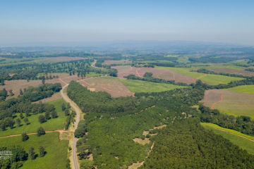 Aerial Shot of Thyolo Tea Plantations